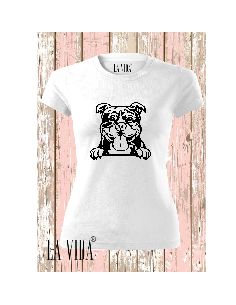 AMERICAN BULLY