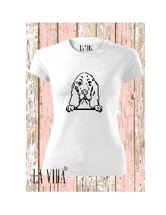 BASSET HOUND 2