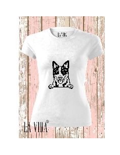 BLUE HEELER 2