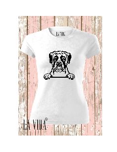 BOXER 2