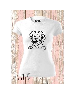 BRITTANY SPANIEL