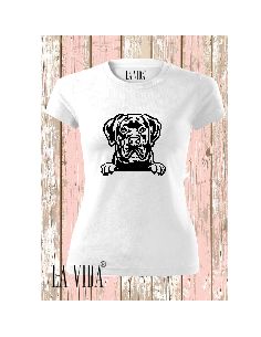 CANE CORSO 2