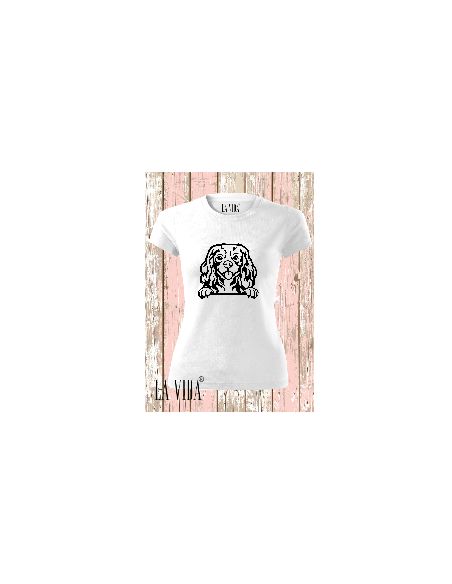 CAVALIER KING CHARLES 2