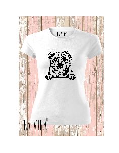 CONTINENTAL BULLDOG
