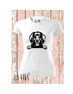 DACHSHUND