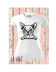 CHIHUAHUA
