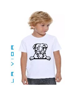 AMERICAN PITBULL