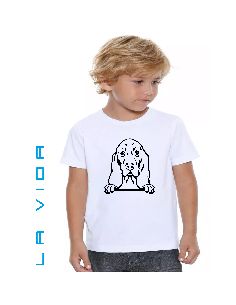 BASSET HOUND 2