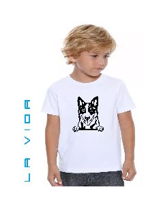 BLUE HEELER 2