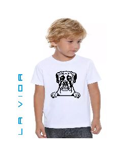 BOXER 2