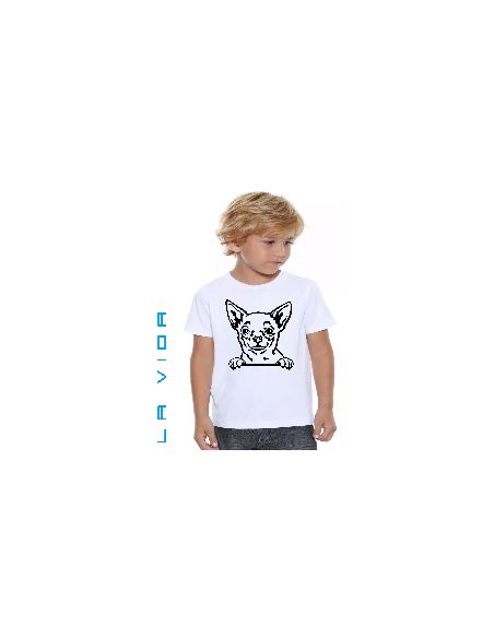 CHIHUAHUA