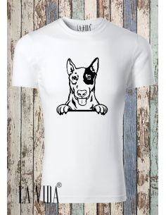 ENGLISH BULLTERRIER 2