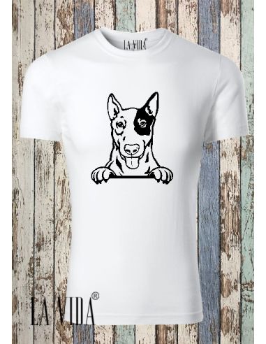 ENGLISH BULLTERRIER 2