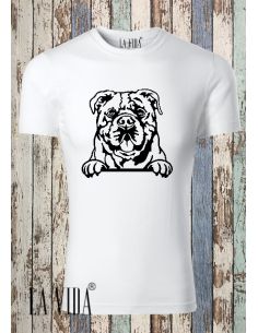 CONTINENTAL BULLDOG