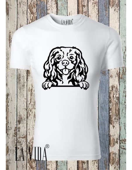 CAVALIER KING CHARLES 2