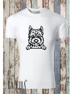 CAIRN TERRIER 2