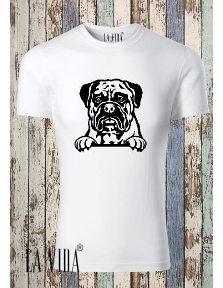 BULLMASTIFF 2