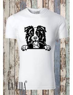BORDER COLLIE