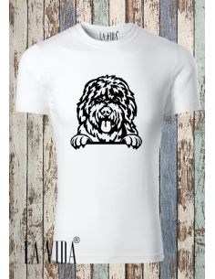 BOBTAIL 2