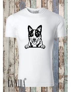 BLUE HEELER 2