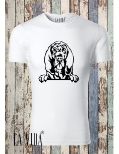 BLOODHOUND