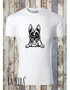 BELGIAN MALINOIS 2