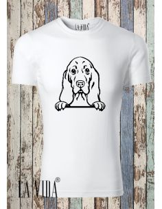 BASSET HOUND 2