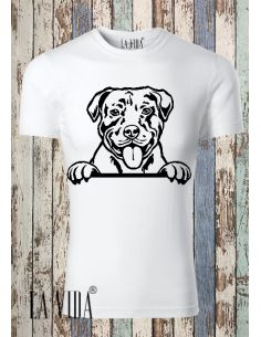 AMERICAN PITBULL