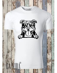 AMERICAN BULLY 2