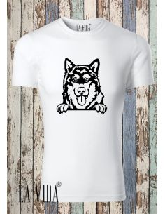 ALASKAN MALAMUTE 2