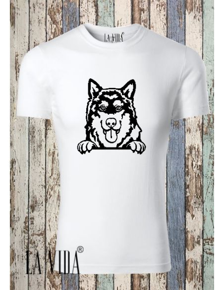 ALASKAN MALAMUTE 2