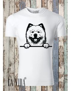 chow chow