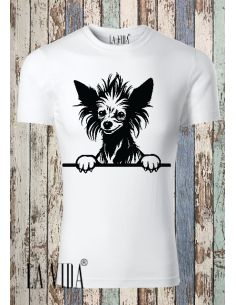 chinese crested