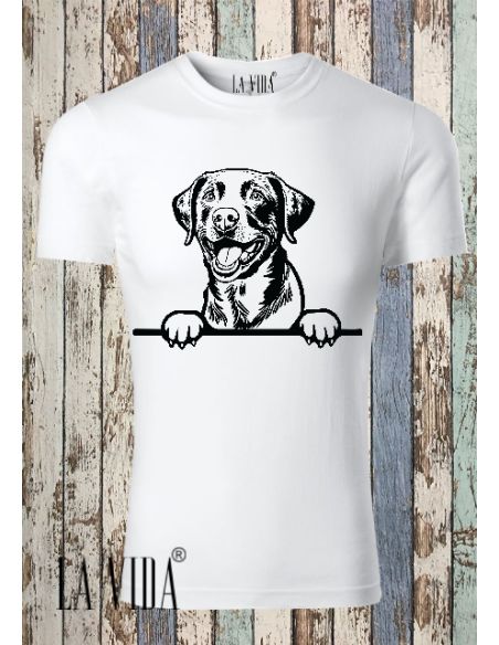 chesapeake bay retriever