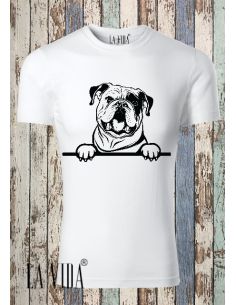 english bulldog