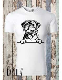 DOGUES DE BORDEAUX 1