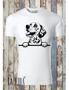 dalmatian