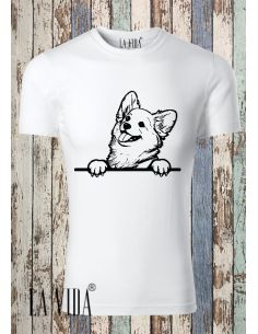 corgi