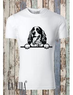 cocker spaniel