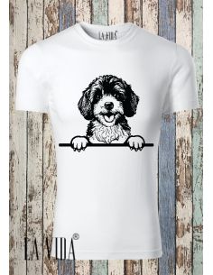 cavapoo