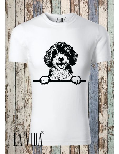 cavapoo