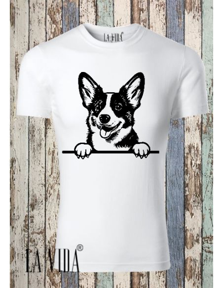 cardigan welsh corgi 1