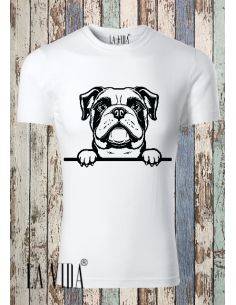 bulldog