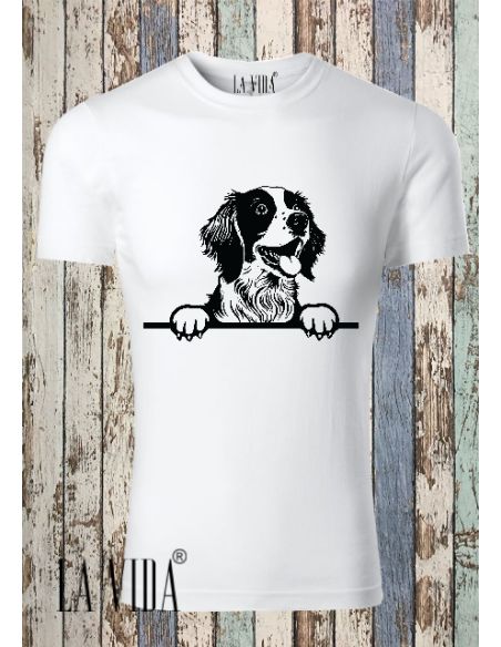 brittany spaniel