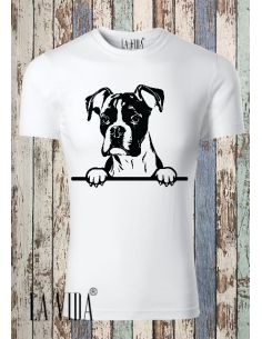 boxer 1