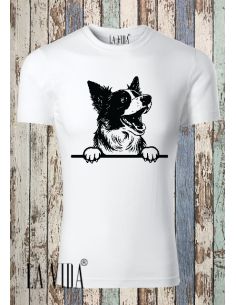 border collie 1