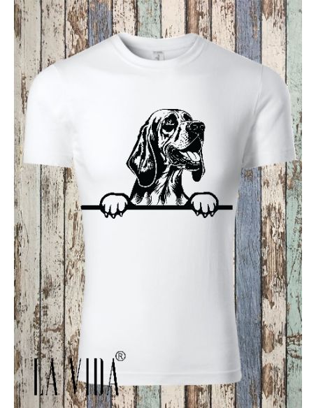 bloodhound