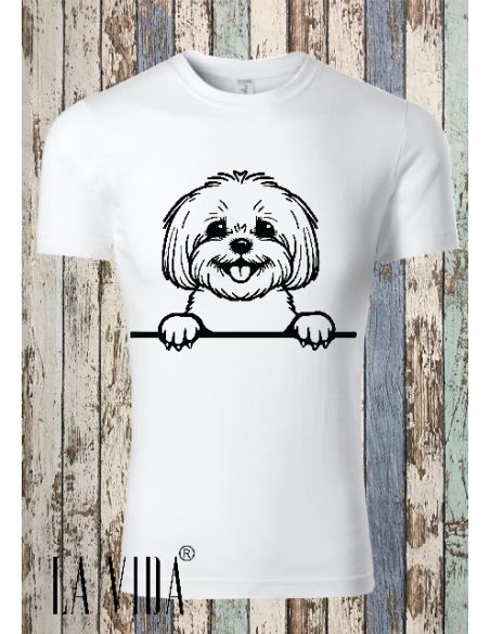 Bichon