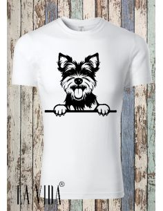 biewer terrier 1