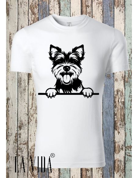 biewer terrier 1